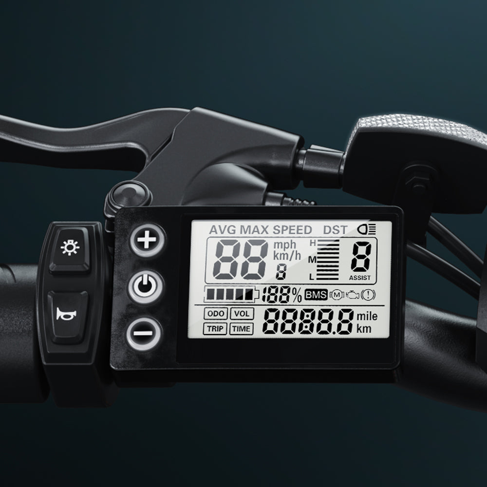 isinwheel M10 LCD display with control buttons