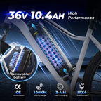 isinwheel EB3 removable battery